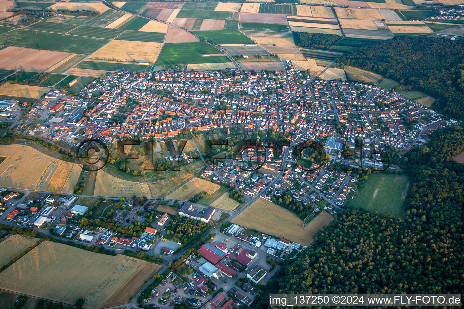 Vue aérienne de Du nord-ouest à Harthausen dans le département Rhénanie-Palatinat, Allemagne