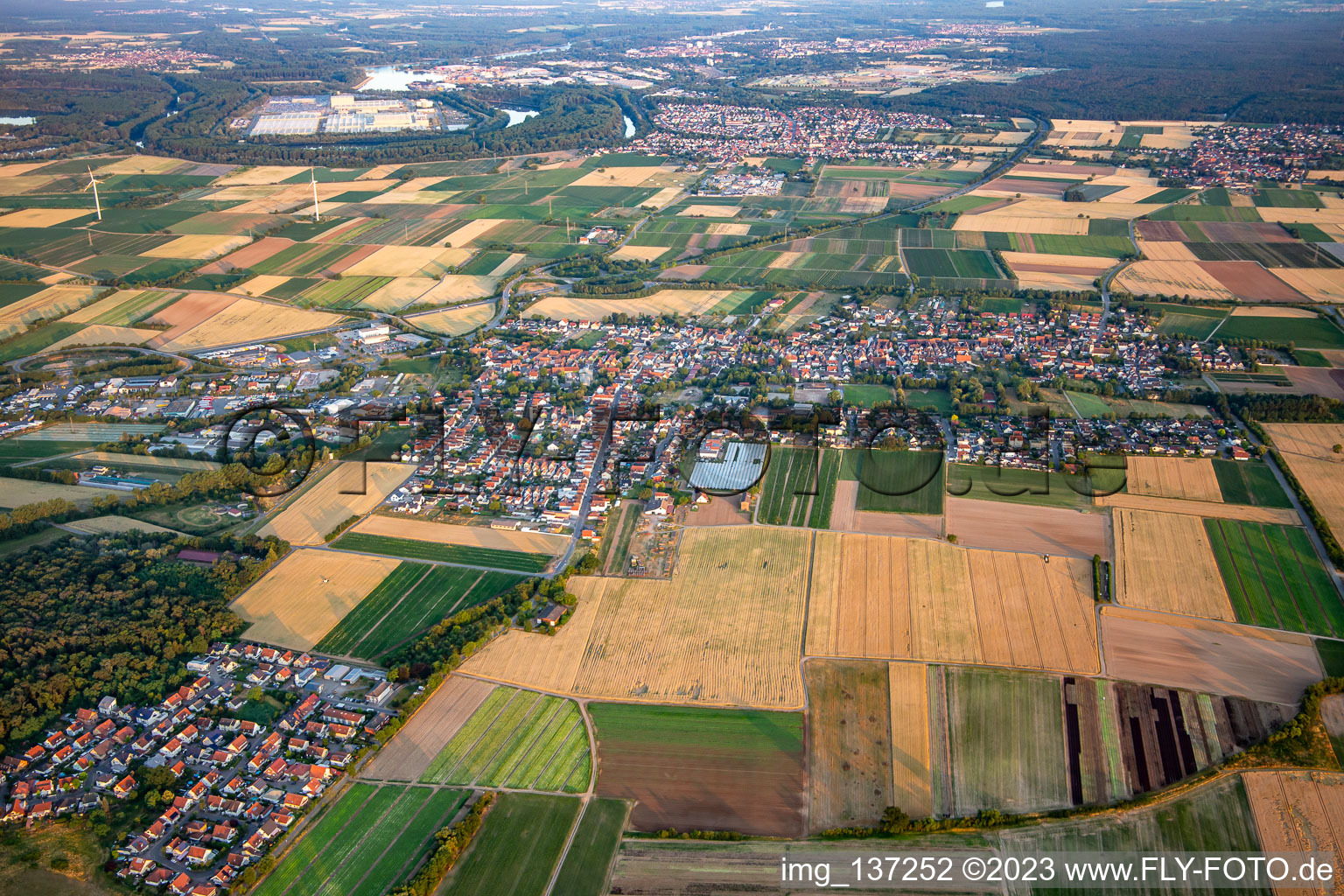 Vue aérienne de Du nord à Schwegenheim dans le département Rhénanie-Palatinat, Allemagne