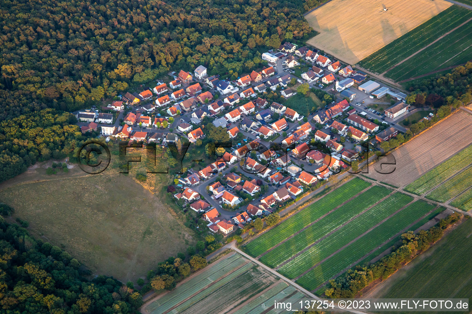 Vue aérienne de Buchenstr à Schwegenheim dans le département Rhénanie-Palatinat, Allemagne