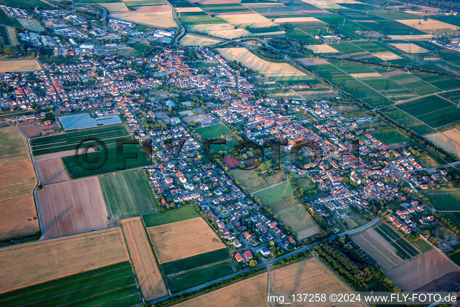 Vue aérienne de De l'ouest à Schwegenheim dans le département Rhénanie-Palatinat, Allemagne