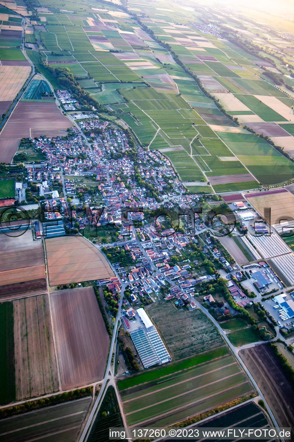Vue aérienne de De l'est à Weingarten dans le département Rhénanie-Palatinat, Allemagne