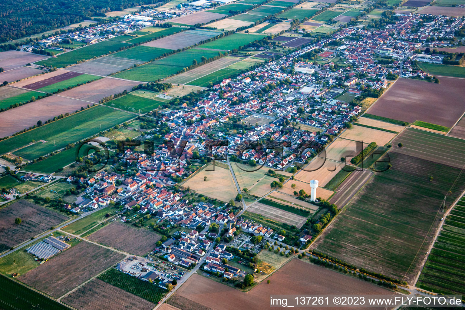 Vue aérienne de Du nord-est à Lustadt dans le département Rhénanie-Palatinat, Allemagne