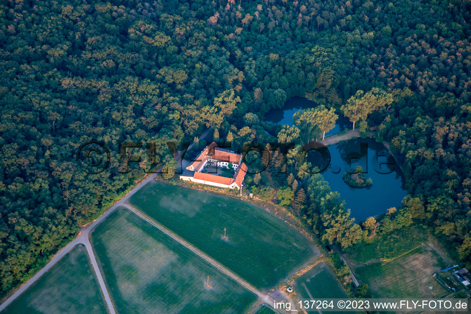 Vue aérienne de Lachenmühle Lustadt à Lustadt dans le département Rhénanie-Palatinat, Allemagne