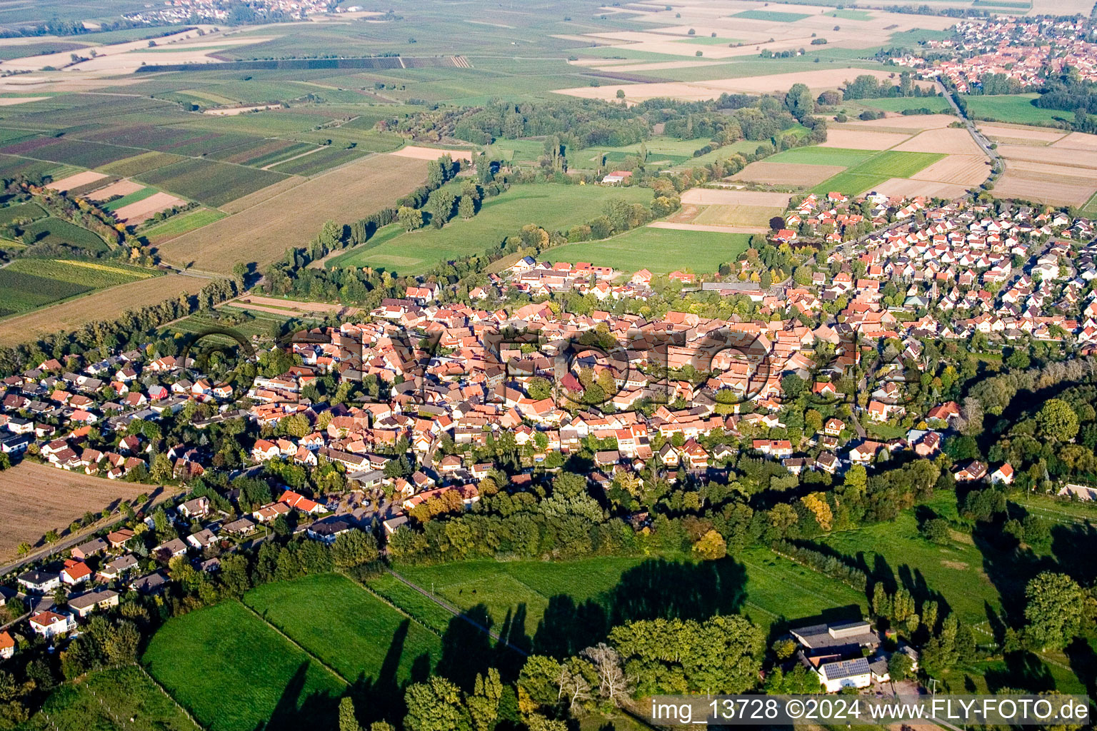 Image drone de Quartier Billigheim in Billigheim-Ingenheim dans le département Rhénanie-Palatinat, Allemagne