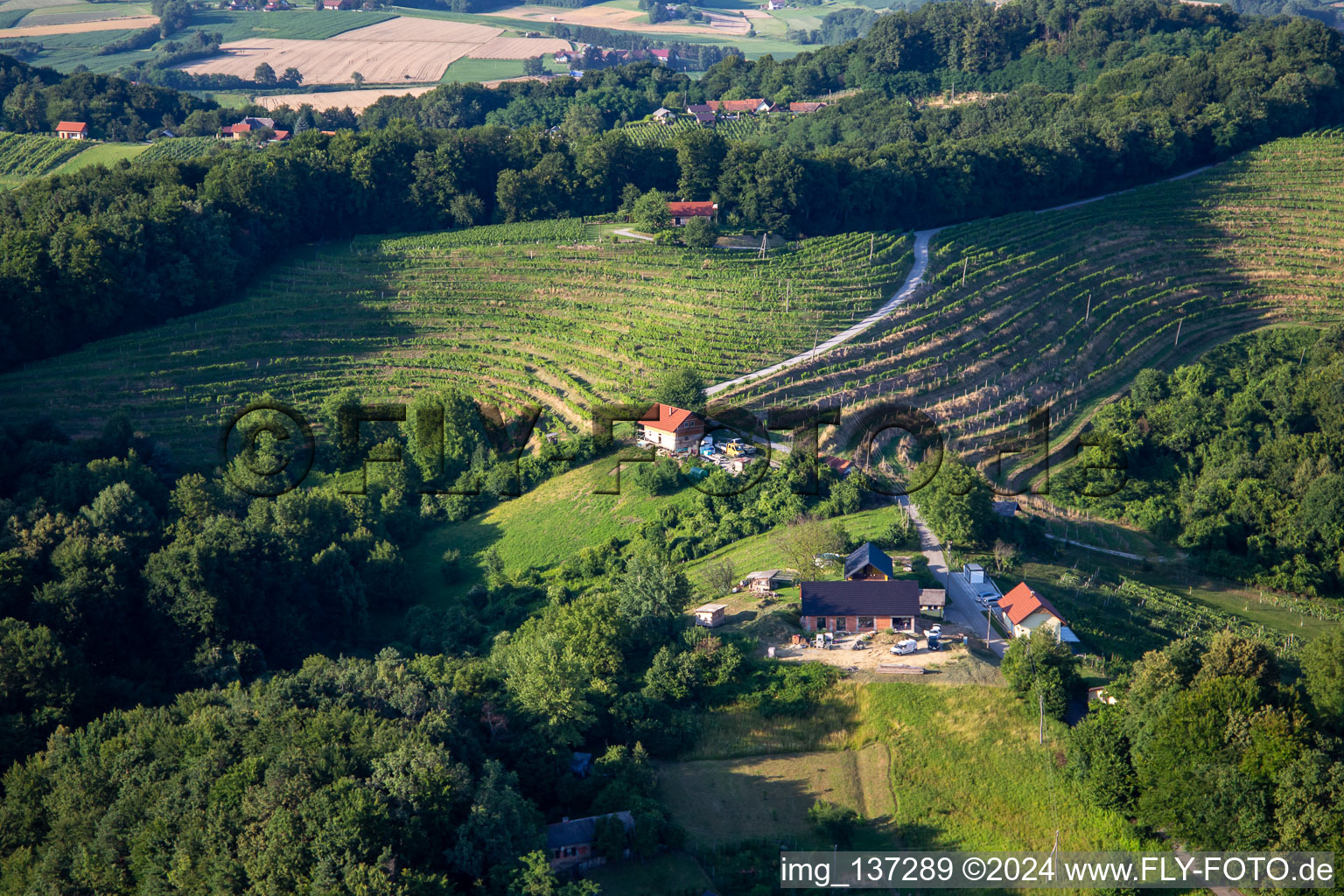 Vue aérienne de Vignobles à Ormož dans le département Slovénie, Slovénie