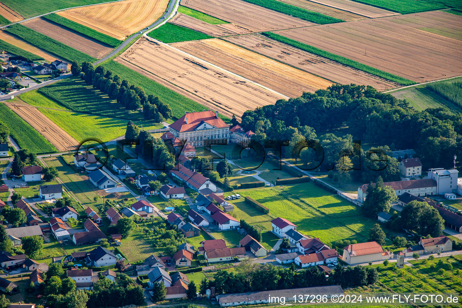 Vue aérienne de Château de Dornau Dvorec Dornav à Dornava dans le département Slovénie, Slovénie