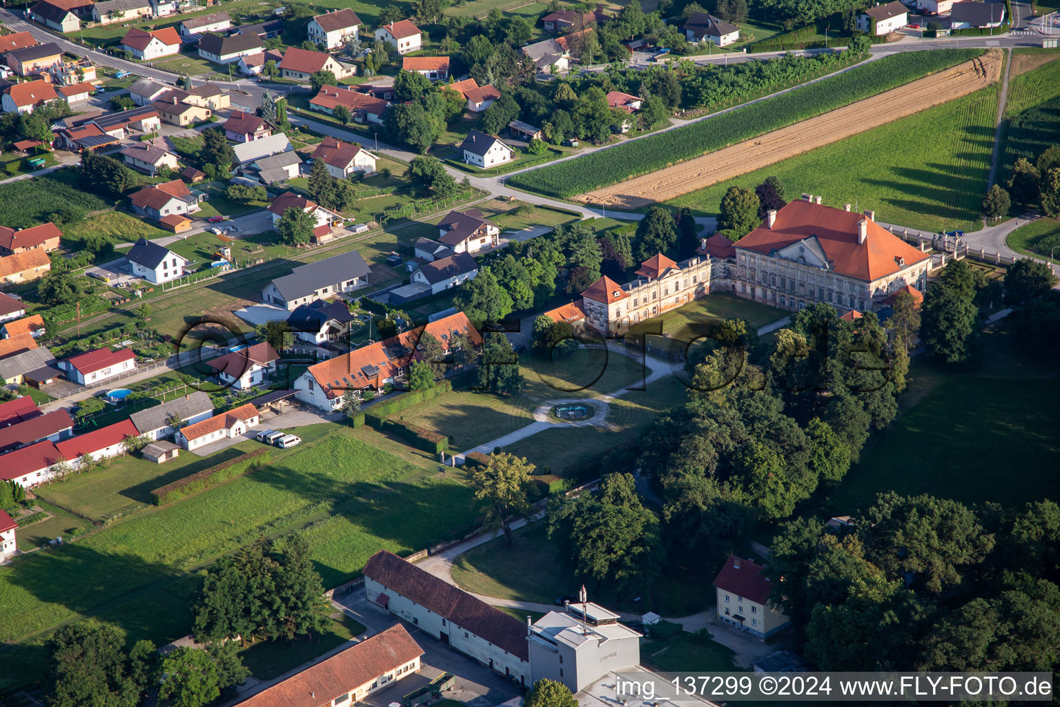 Photographie aérienne de Château de Dornau Dvorec Dornav à Dornava dans le département Slovénie, Slovénie