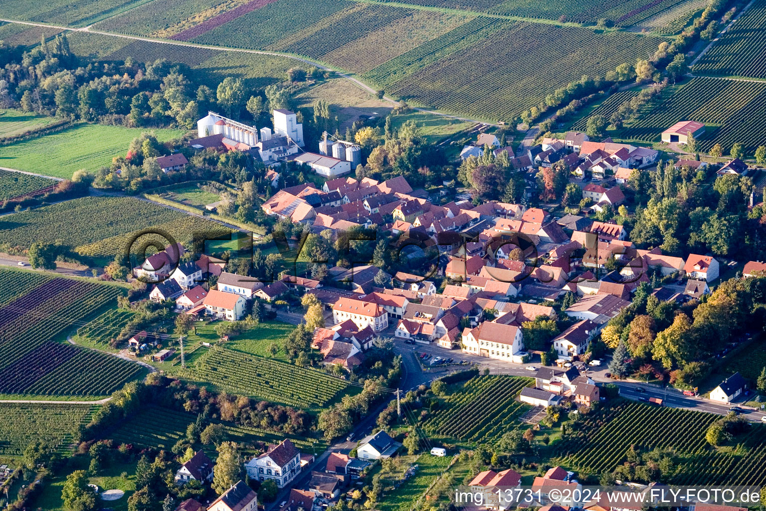 Vue aérienne de Quartier Appenhofen in Billigheim-Ingenheim dans le département Rhénanie-Palatinat, Allemagne