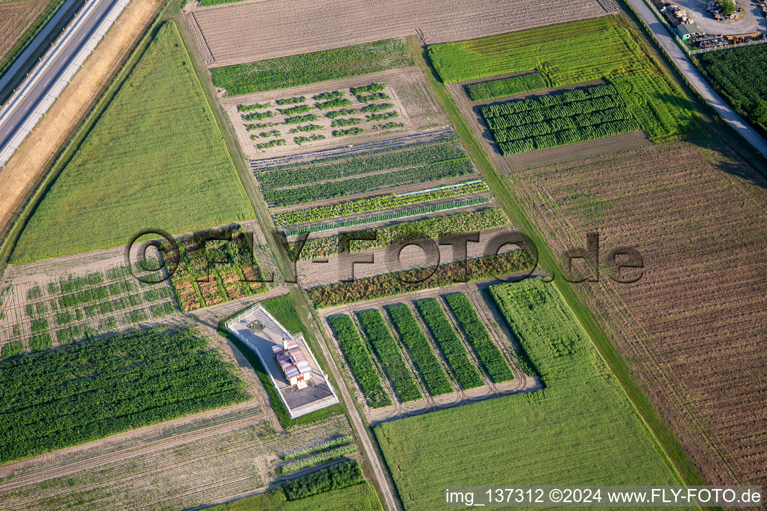 Vue aérienne de Champs de légumes à Ptuj dans le département Slovénie, Slovénie