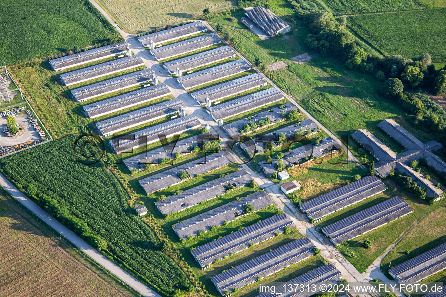 Vue aérienne de Anciennes serres avec système photovoltaïque et club cycliste Kolesarski klub perutnina Ptuj à Ptuj dans le département Slovénie, Slovénie