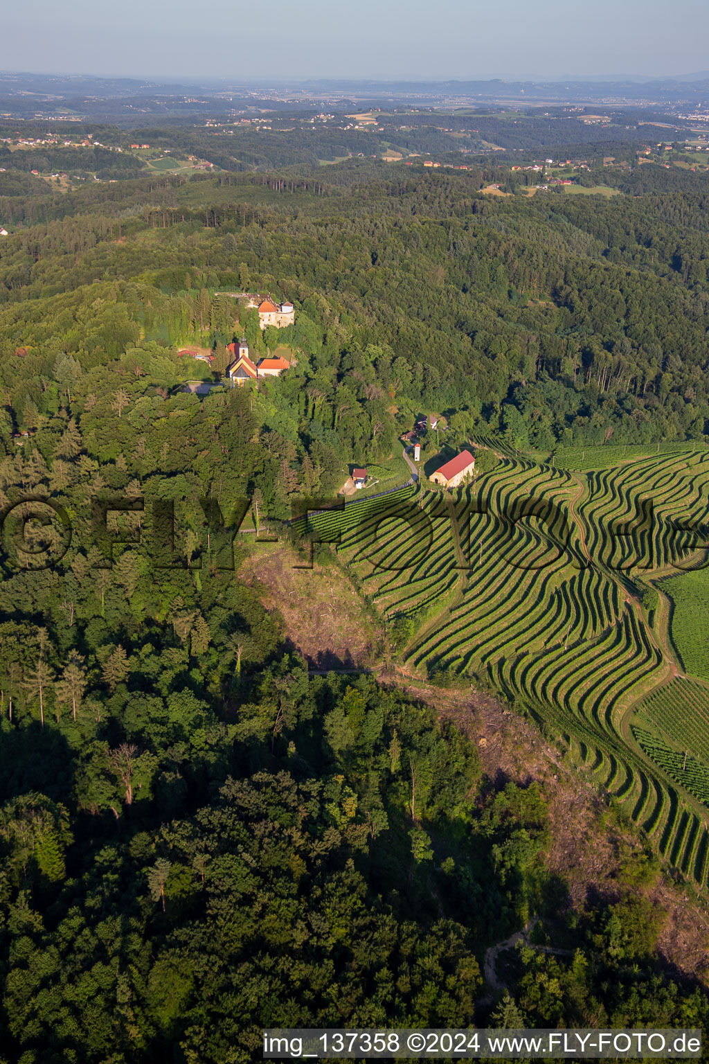 Vue aérienne de Église de Župnijska cerkev sv. Marije Vnebovzete et Café Huda Liza au-dessus des vignobles du Vurberg à Duplek dans le département Slovénie, Slovénie