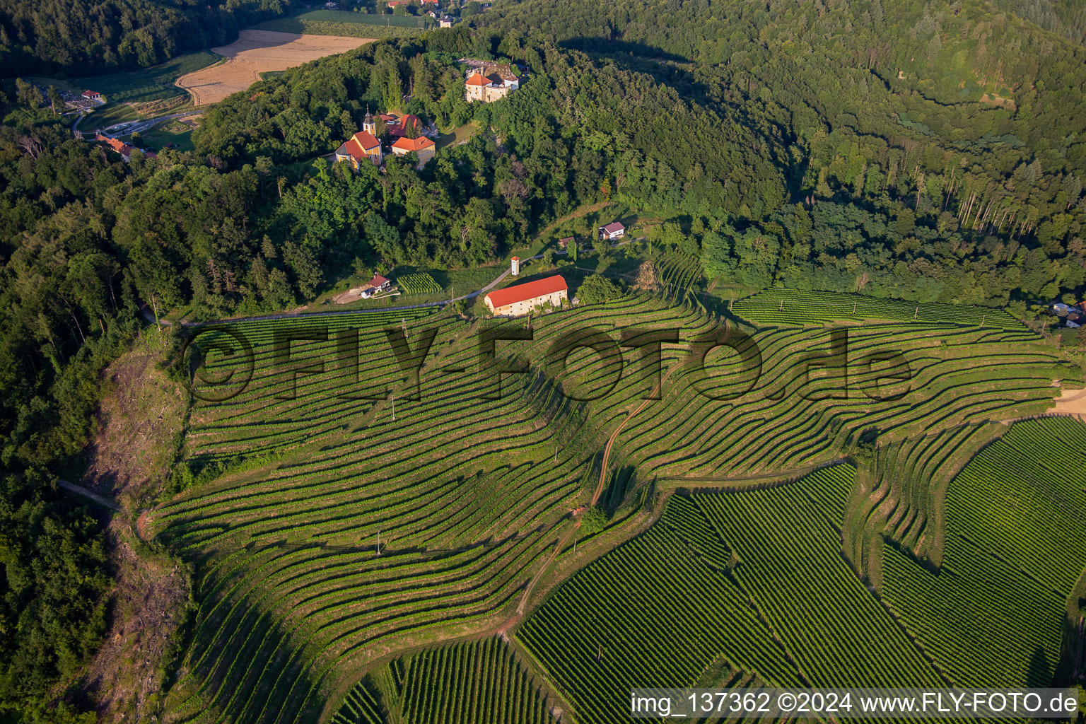 Église de Župnijska cerkev sv. Marije Vnebovzete et Café Huda Liza au-dessus des vignobles du Vurberg à Duplek dans le département Slovénie, Slovénie d'en haut