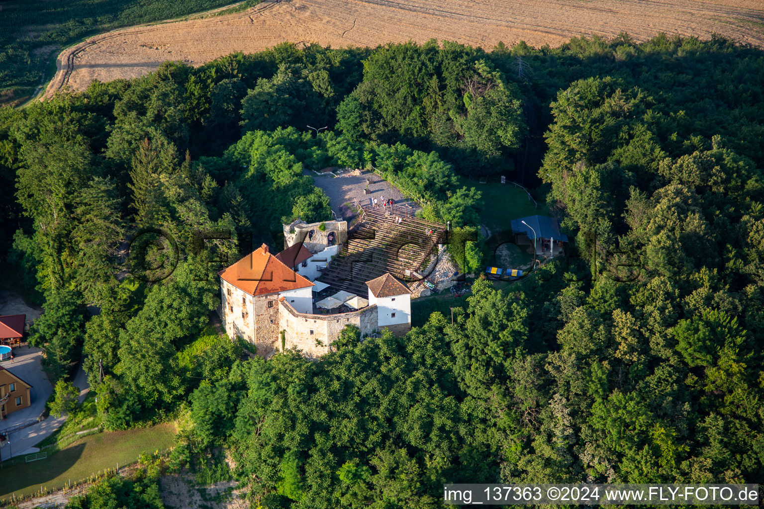 Vue aérienne de Scène en plein air Hči najstarejše vinske trte na svetu sur le Vurberg à Duplek dans le département Slovénie, Slovénie