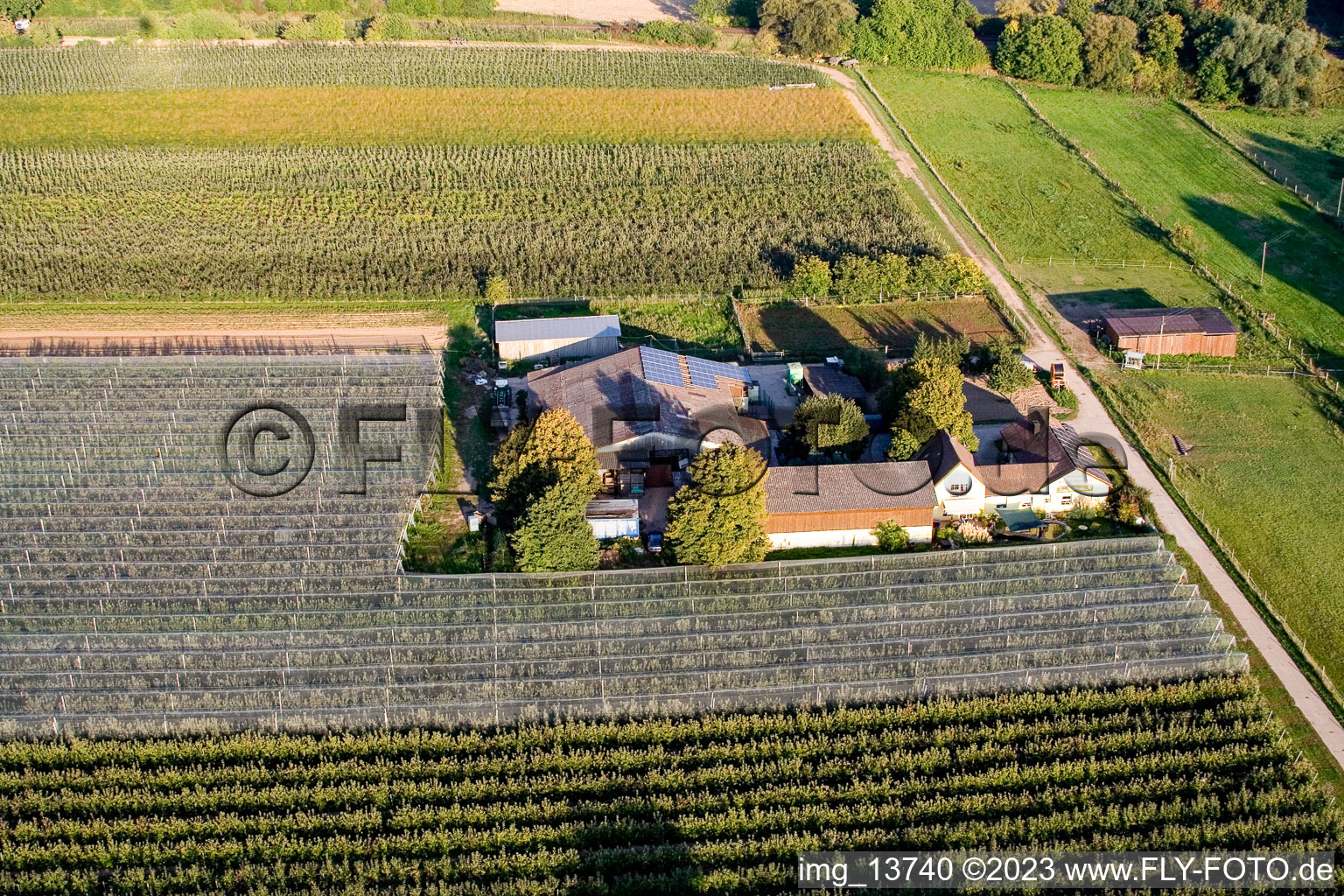 Vue aérienne de Lindenhof : Ferme de fruits et d'asperges de Gensheimer à Steinweiler dans le département Rhénanie-Palatinat, Allemagne