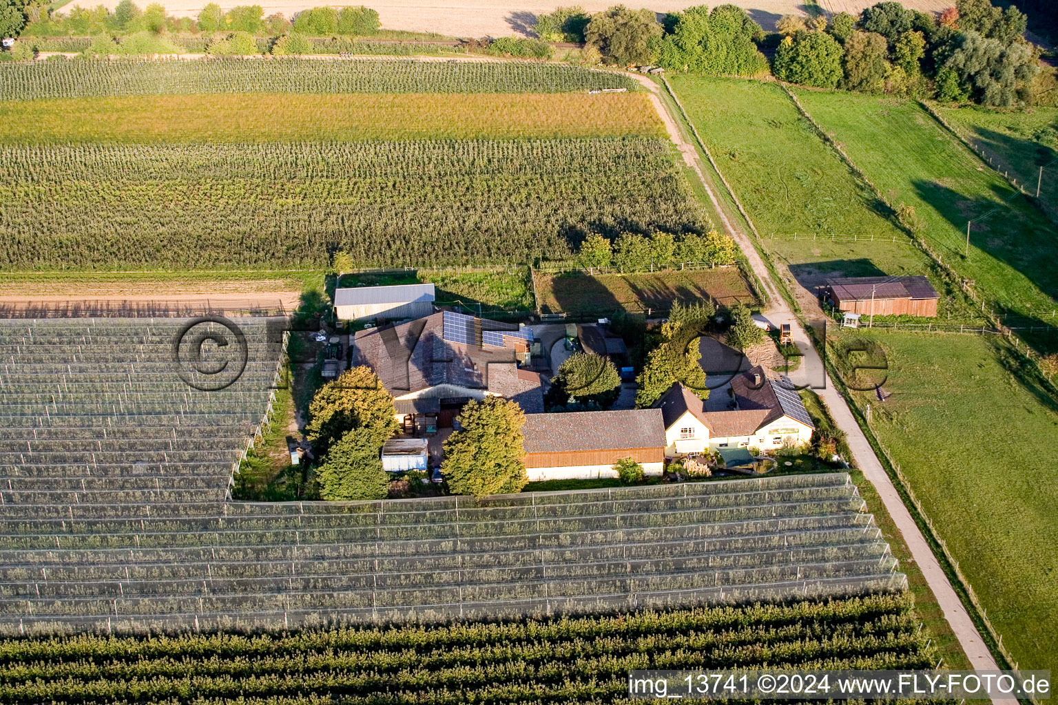 Vue aérienne de Lindenhof : Ferme de fruits et d'asperges de Gensheimer à Steinweiler dans le département Rhénanie-Palatinat, Allemagne