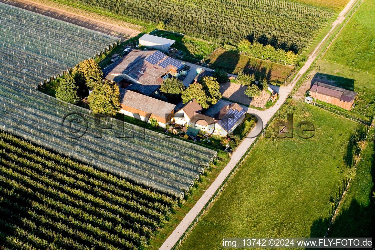 Photographie aérienne de Lindenhof : Ferme de fruits et d'asperges de Gensheimer à Steinweiler dans le département Rhénanie-Palatinat, Allemagne