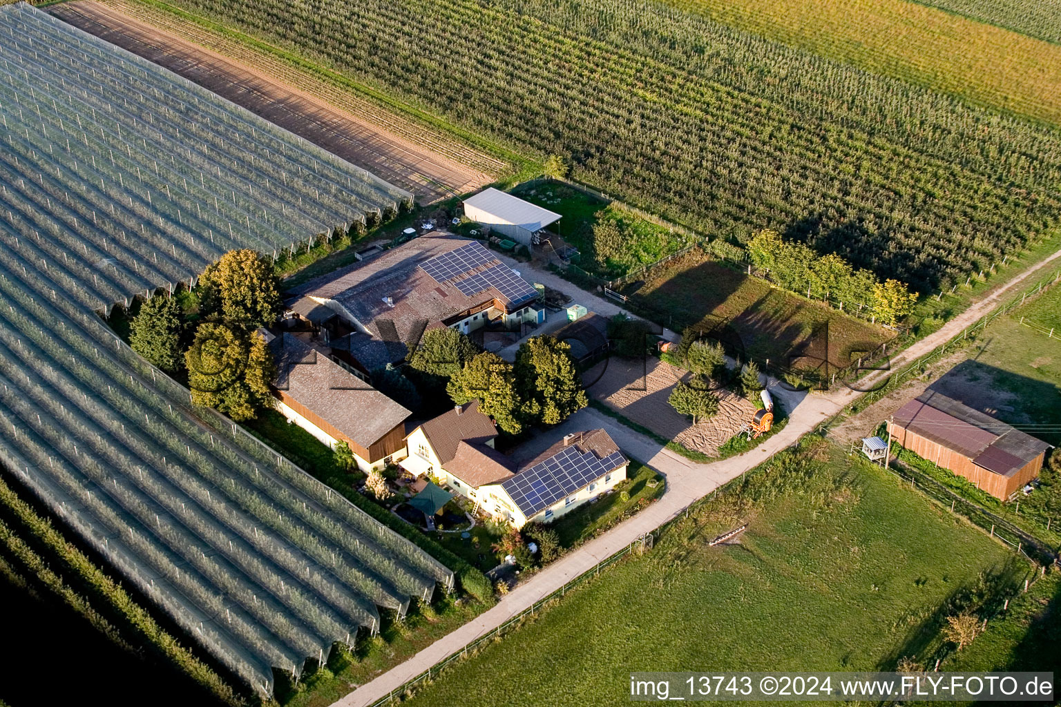 Vue oblique de Lindenhof : Ferme de fruits et d'asperges de Gensheimer à Steinweiler dans le département Rhénanie-Palatinat, Allemagne