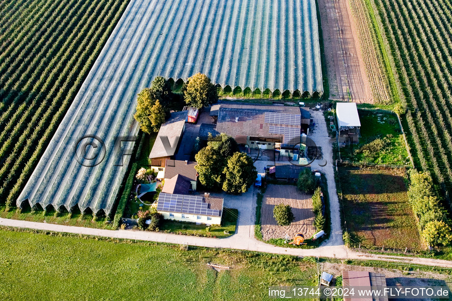 Lindenhof : Ferme de fruits et d'asperges de Gensheimer à Steinweiler dans le département Rhénanie-Palatinat, Allemagne d'en haut