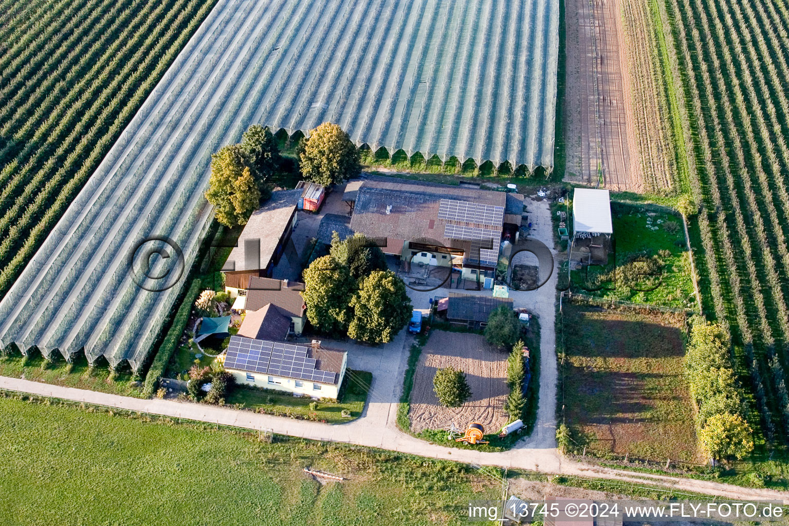 Lindenhof : Ferme de fruits et d'asperges de Gensheimer à Steinweiler dans le département Rhénanie-Palatinat, Allemagne hors des airs