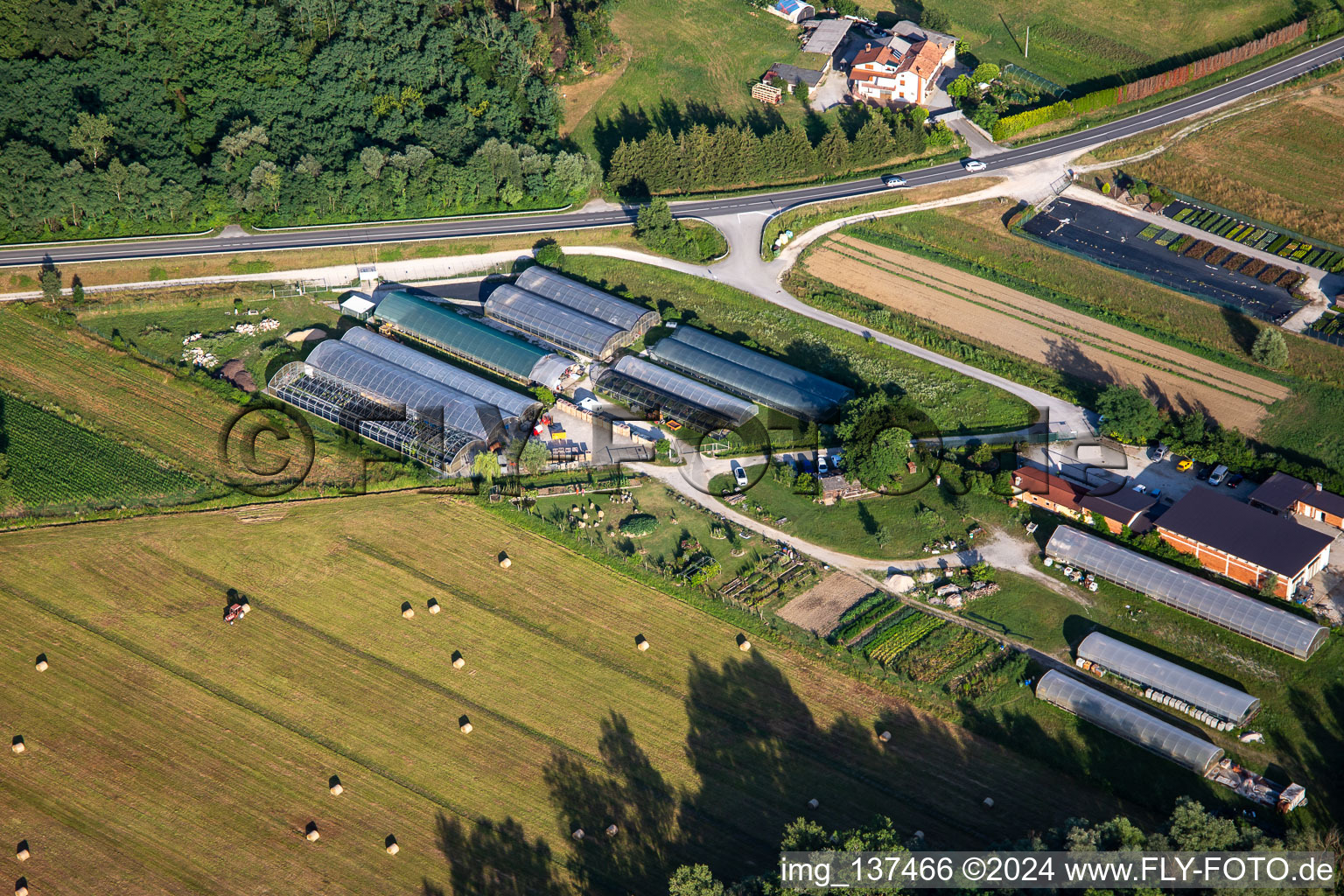 Vue aérienne de Jardinerie Vrtnarija Majdin Gaj et Horti doo à Renče-Vogrsko dans le département Slovénie, Slovénie