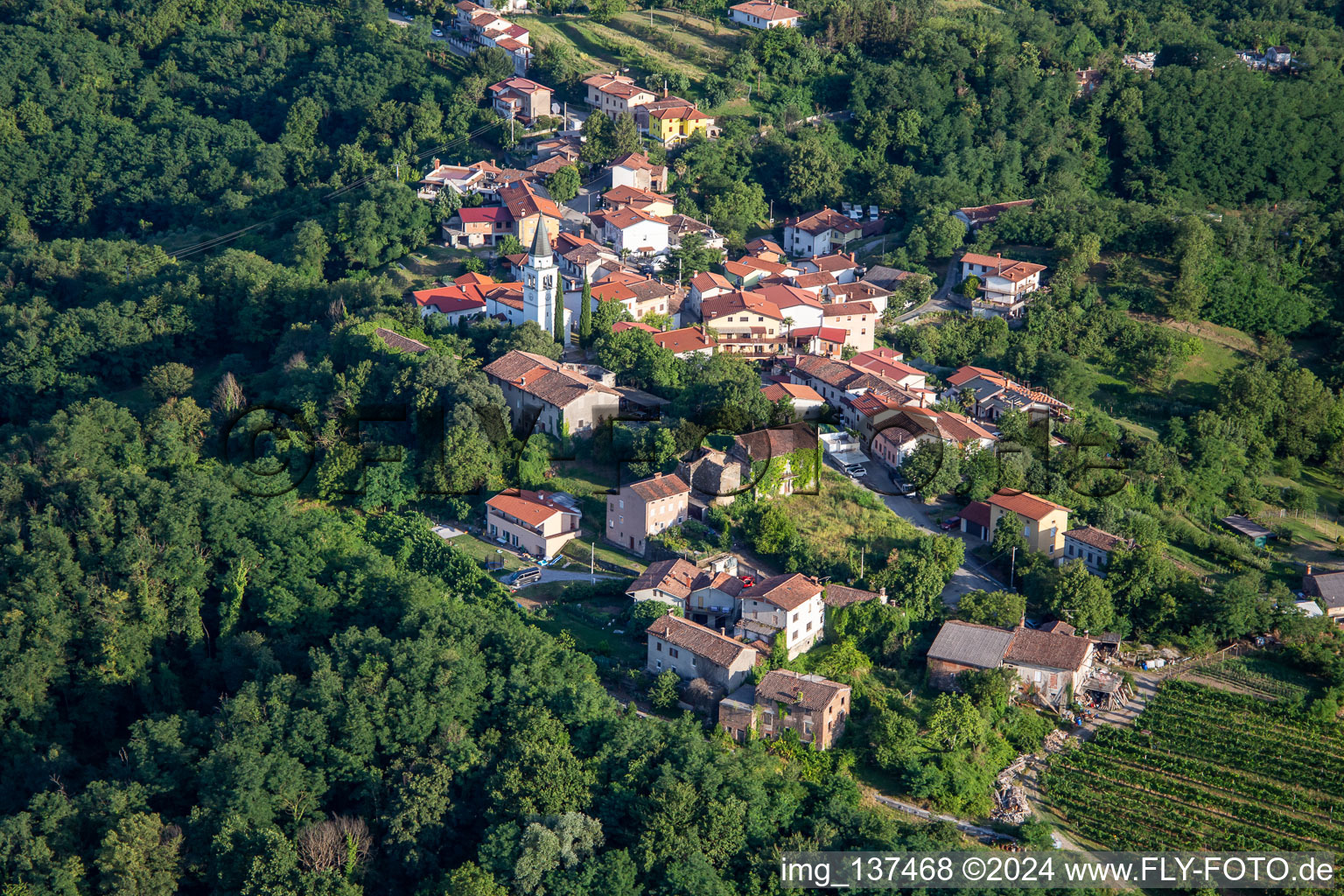 Vue aérienne de Village perché entre vignes et forêt à Nova Gorica dans le département Slovénie, Slovénie