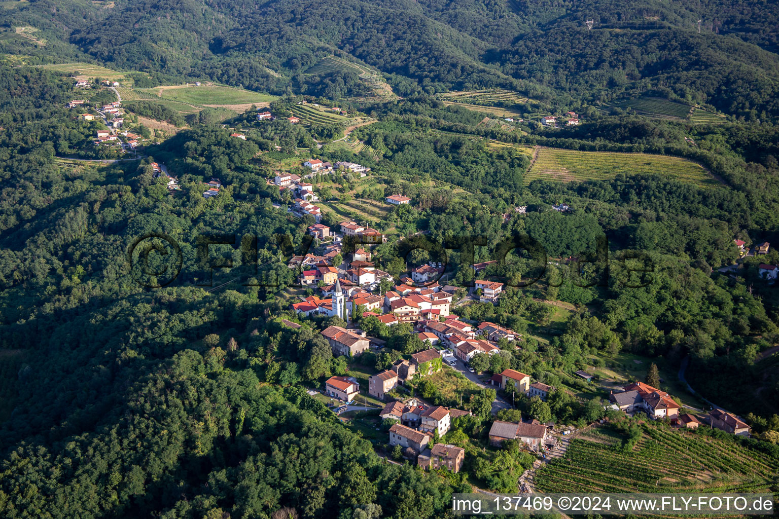 Photographie aérienne de Village perché entre vignes et forêt à Nova Gorica dans le département Slovénie, Slovénie