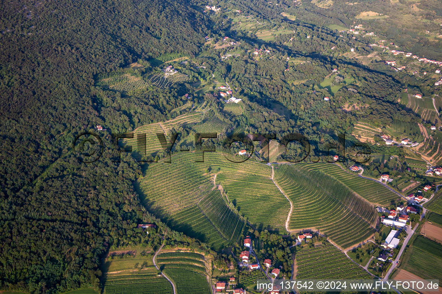 Vue aérienne de Vignobles à Nova Gorica dans le département Slovénie, Slovénie