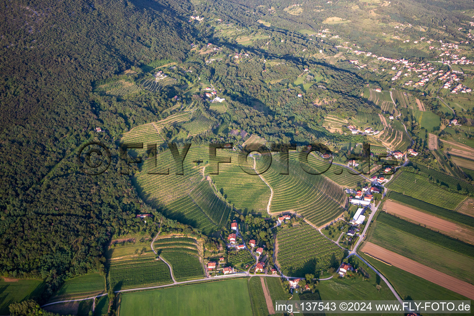 Vue aérienne de Vignobles à Nova Gorica dans le département Slovénie, Slovénie