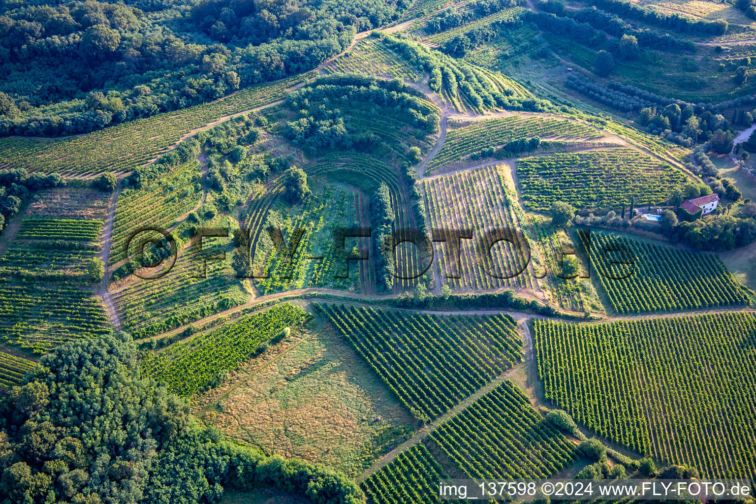 Vue aérienne de Vignobles à Mossa dans le département Gorizia, Italie