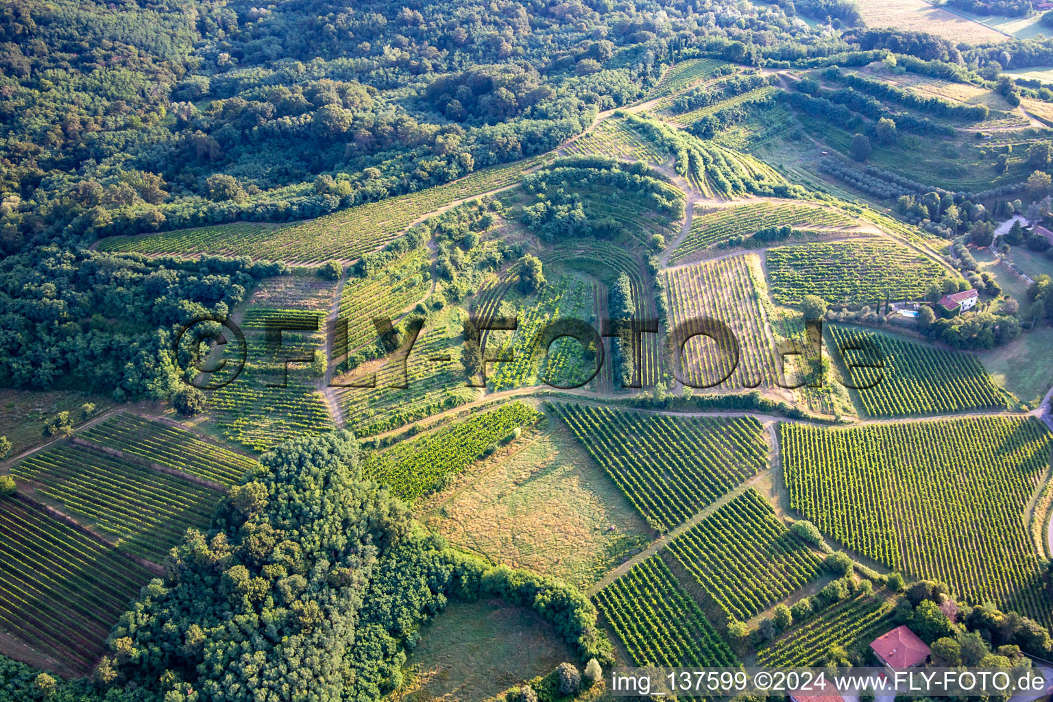 Vue aérienne de Vignobles à Mossa dans le département Gorizia, Italie