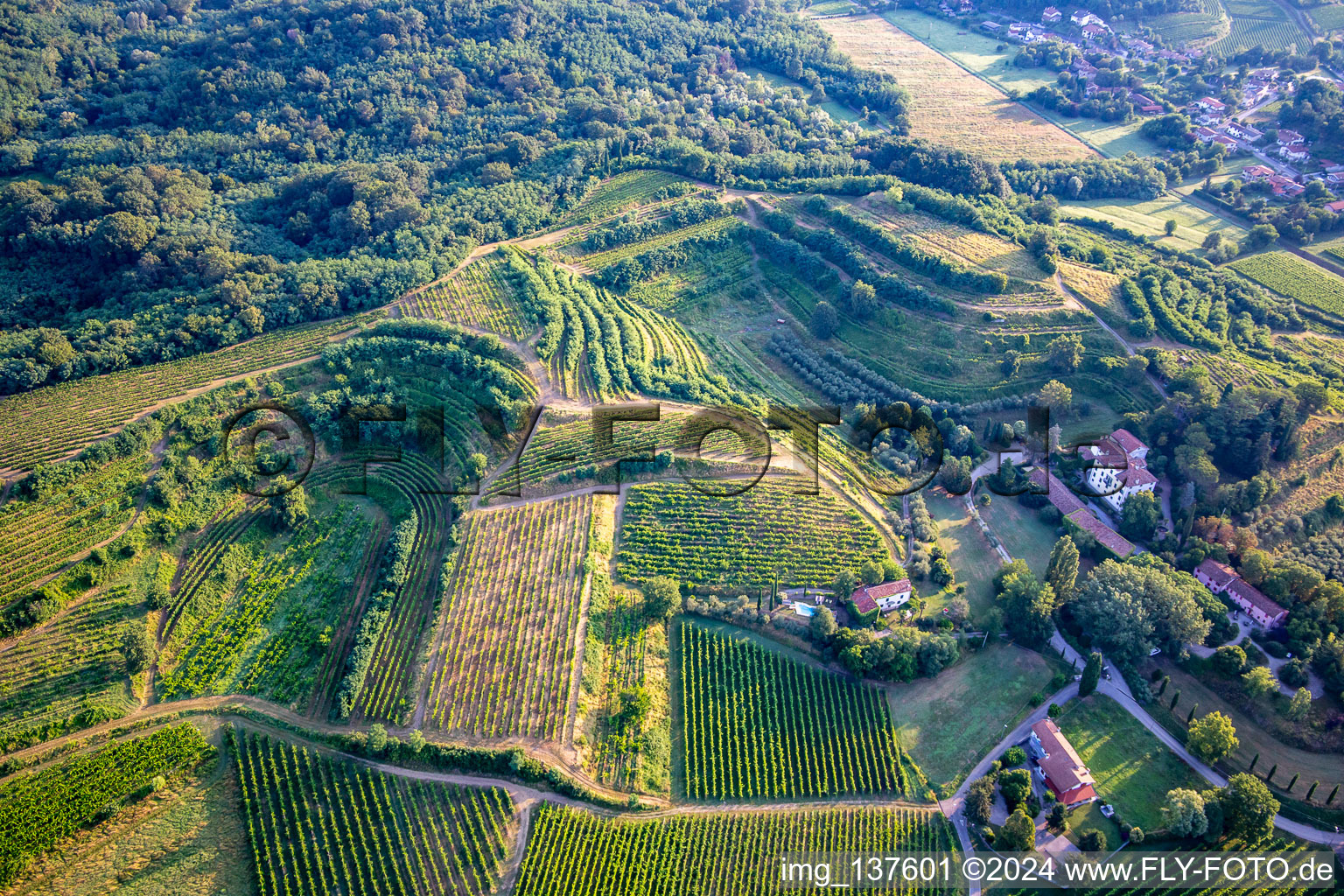 Photographie aérienne de Vignobles à Mossa dans le département Gorizia, Italie