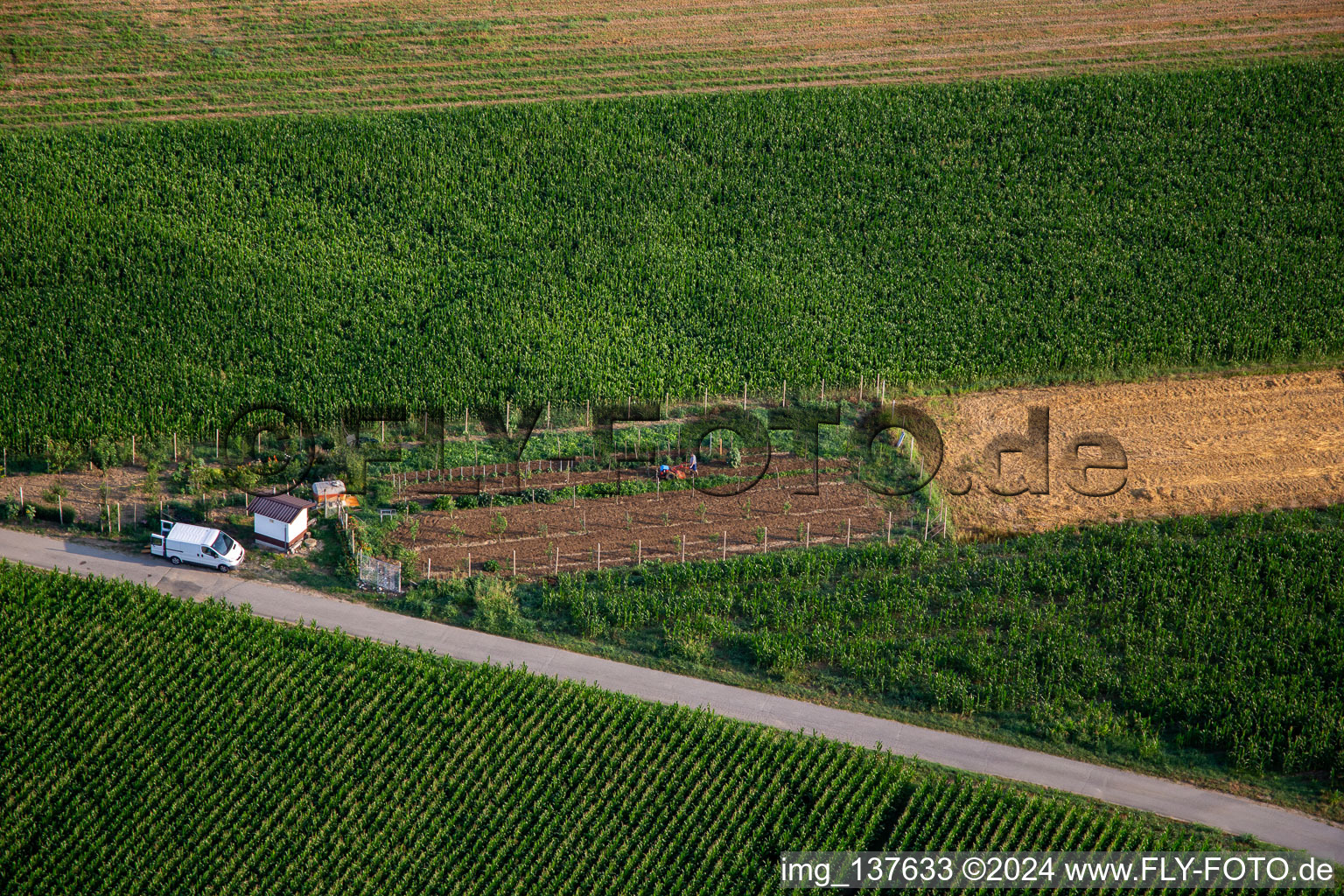 Vue aérienne de Potager à Nova Gorica dans le département Slovénie, Slovénie