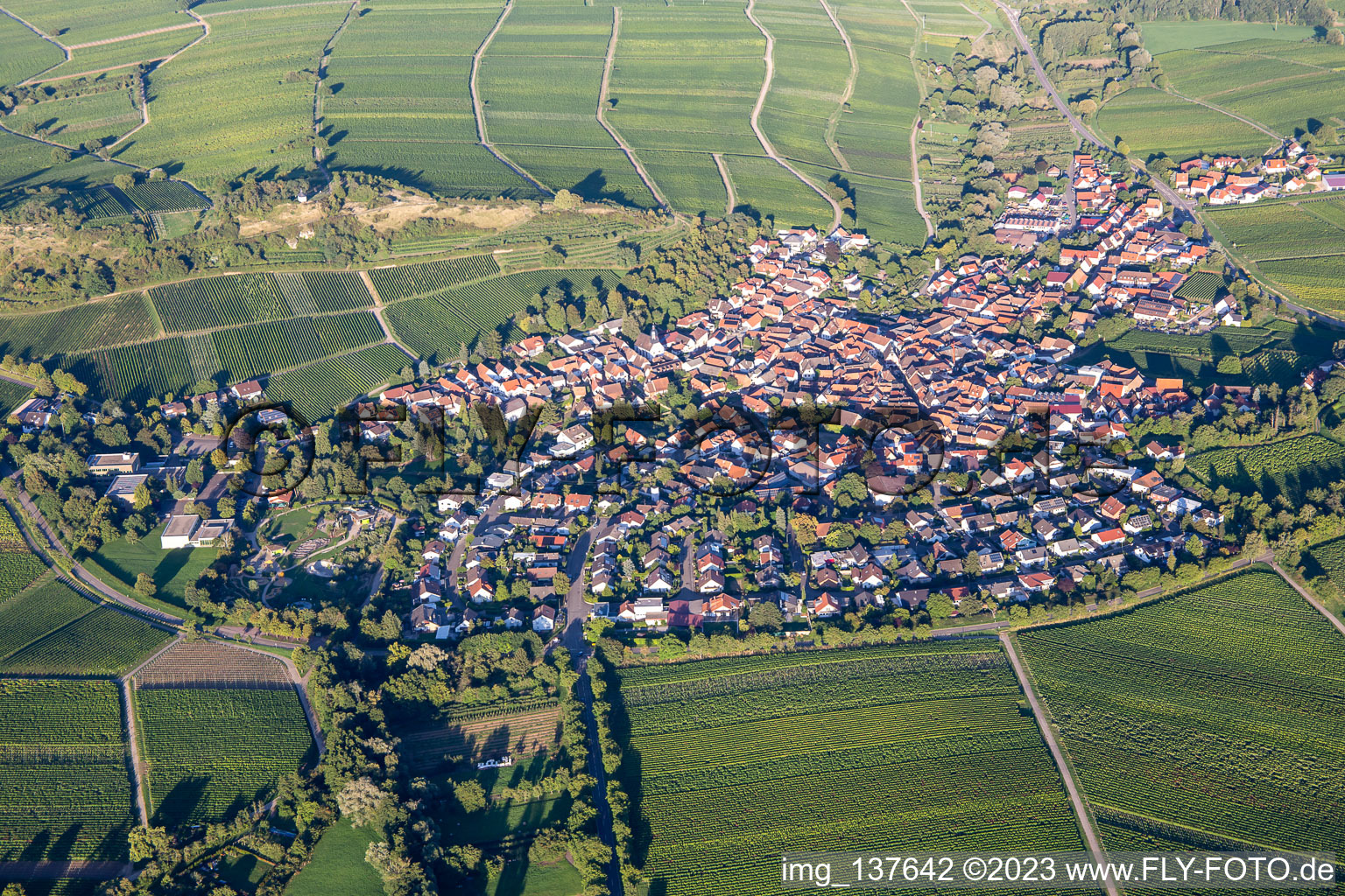 Vue aérienne de Sous le petit Kalmit à Ilbesheim bei Landau in der Pfalz dans le département Rhénanie-Palatinat, Allemagne