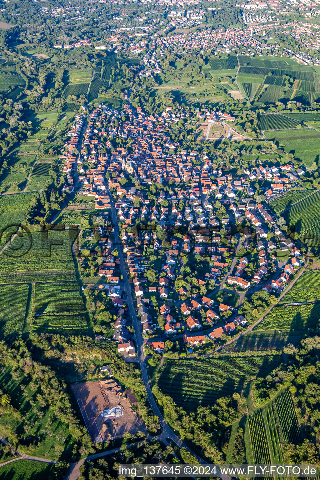 Vue aérienne de De l'ouest à le quartier Arzheim in Landau in der Pfalz dans le département Rhénanie-Palatinat, Allemagne