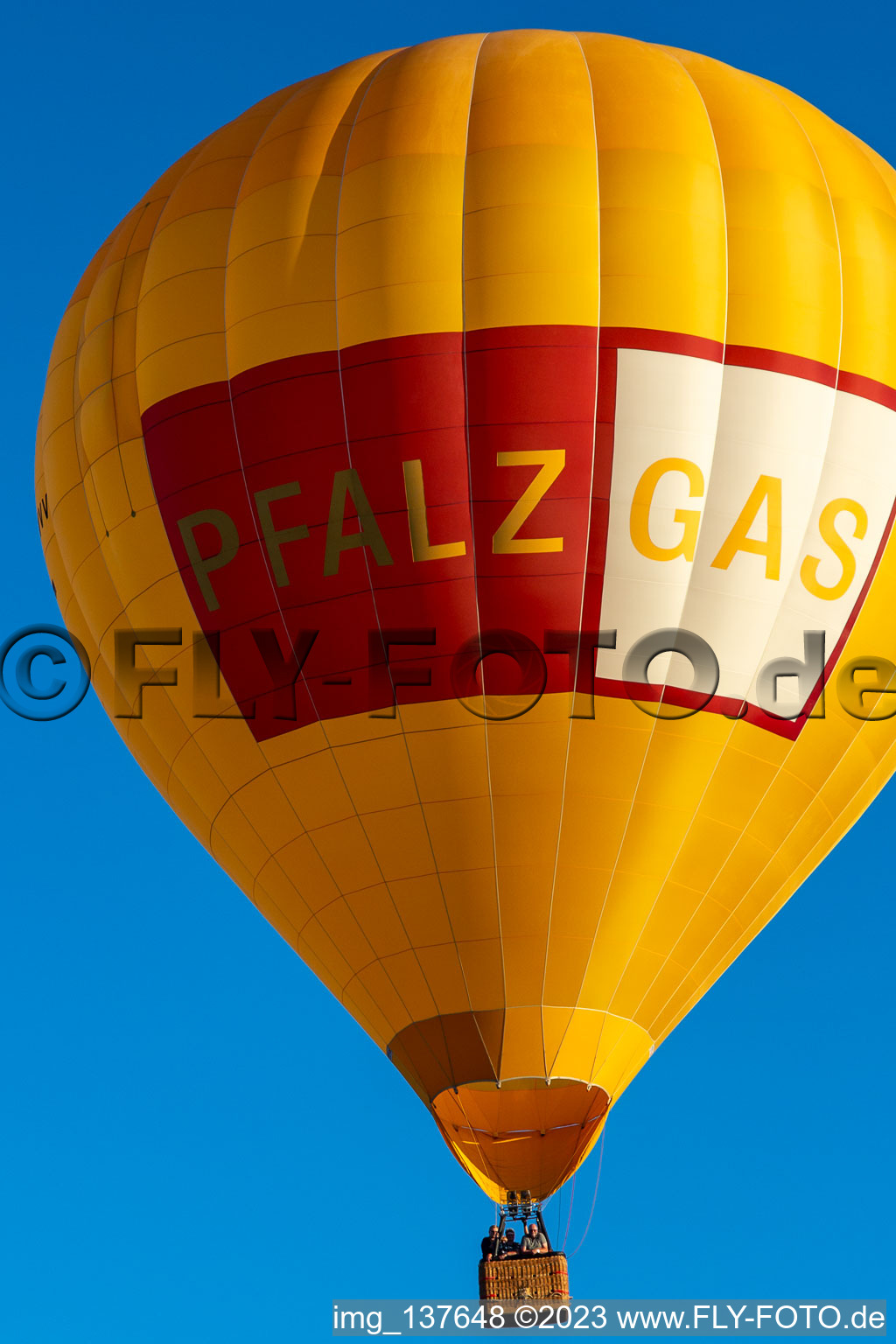 Photographie aérienne de Montgolfière PfalzGas à Herxheim bei Landau dans le département Rhénanie-Palatinat, Allemagne