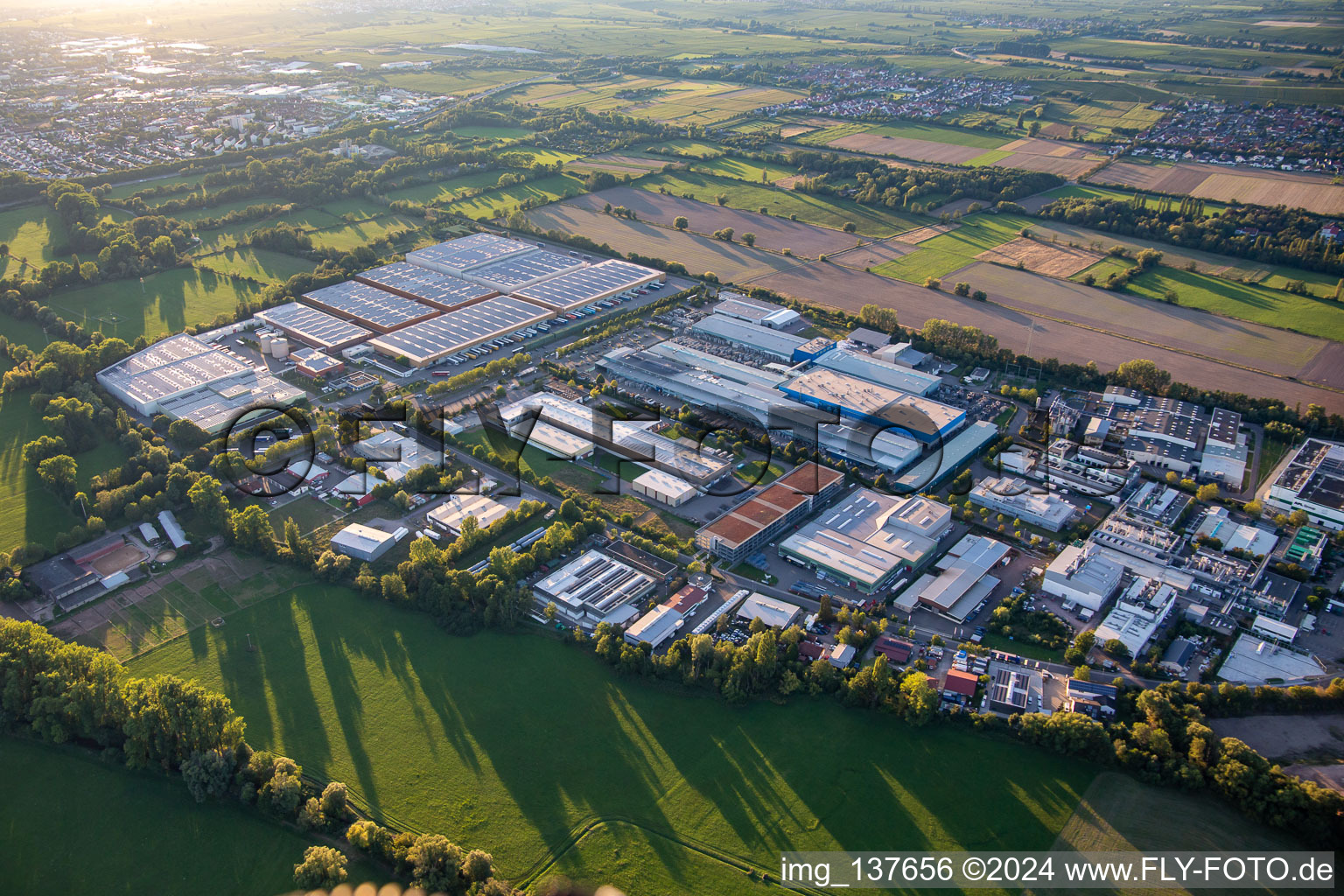 Vue aérienne de Zone industrielle avec Ronal et Michelin à Landau in der Pfalz dans le département Rhénanie-Palatinat, Allemagne