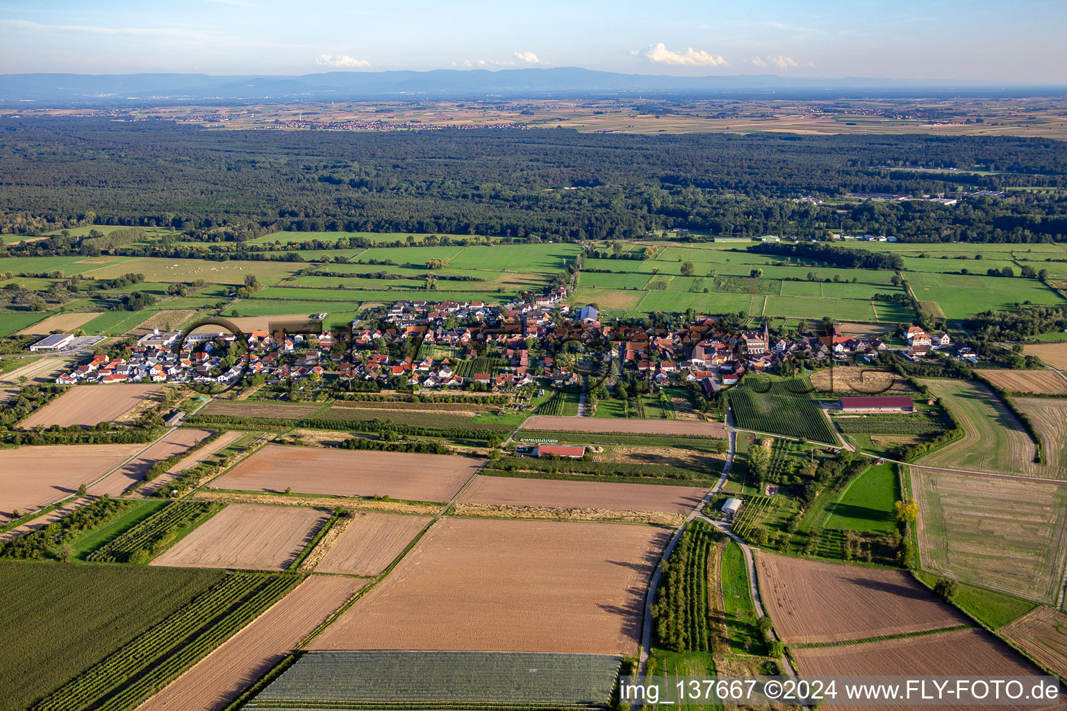 Vue aérienne de Du nord à Schweighofen dans le département Rhénanie-Palatinat, Allemagne