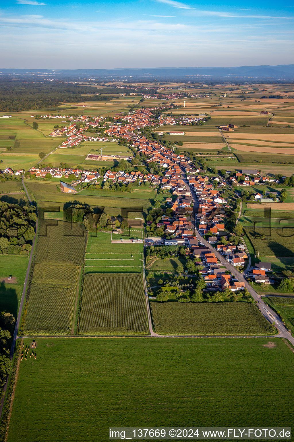 Photographie aérienne de De l'ouest à Schleithal dans le département Bas Rhin, France