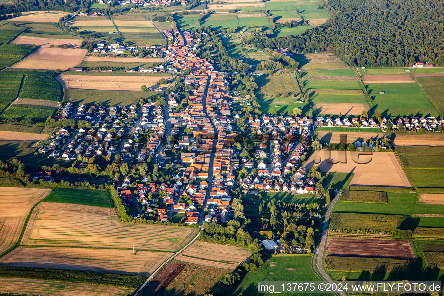 Vue aérienne de De l'ouest à le quartier Schaidt in Wörth am Rhein dans le département Rhénanie-Palatinat, Allemagne