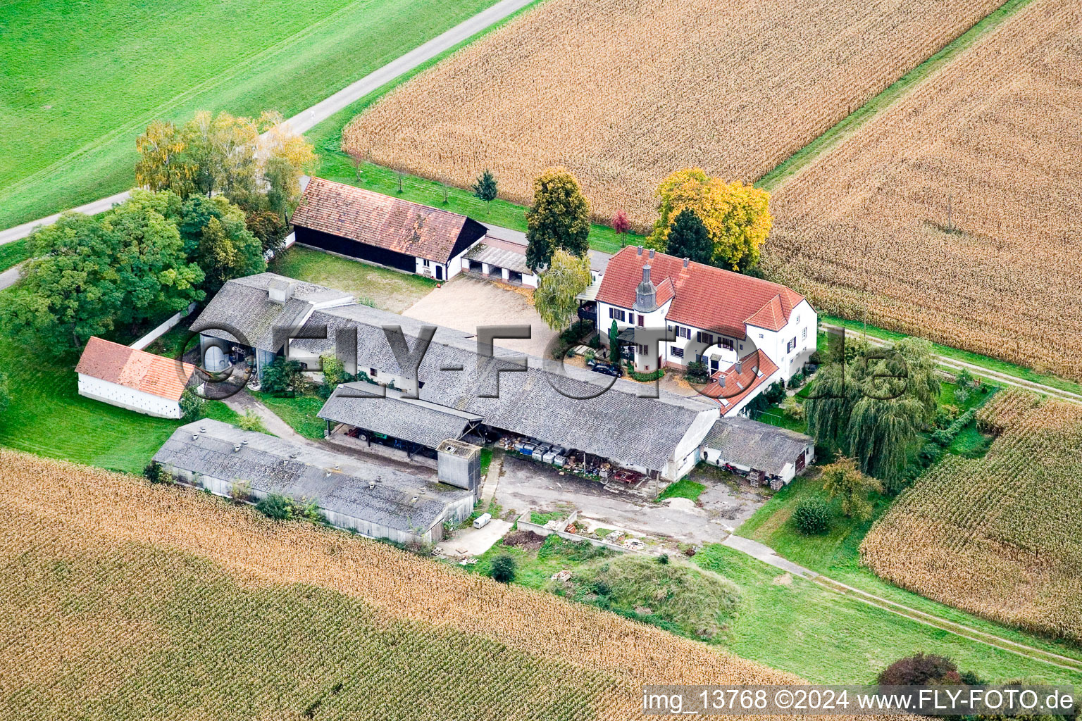 Quartier Maximiliansau in Wörth am Rhein dans le département Rhénanie-Palatinat, Allemagne vue du ciel