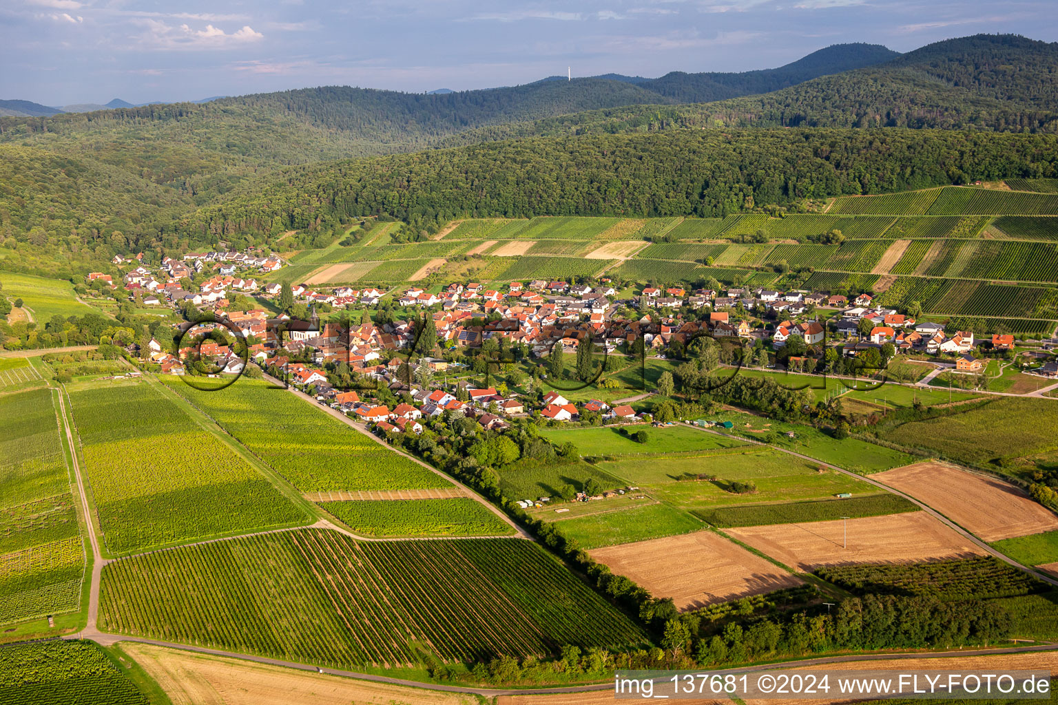 Vue aérienne de De l'est à le quartier Pleisweiler in Pleisweiler-Oberhofen dans le département Rhénanie-Palatinat, Allemagne