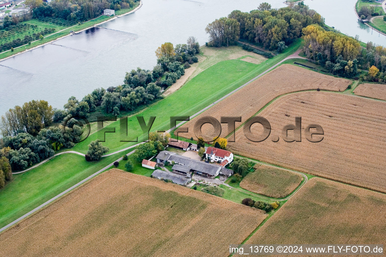 Enregistrement par drone de Quartier Maximiliansau in Wörth am Rhein dans le département Rhénanie-Palatinat, Allemagne