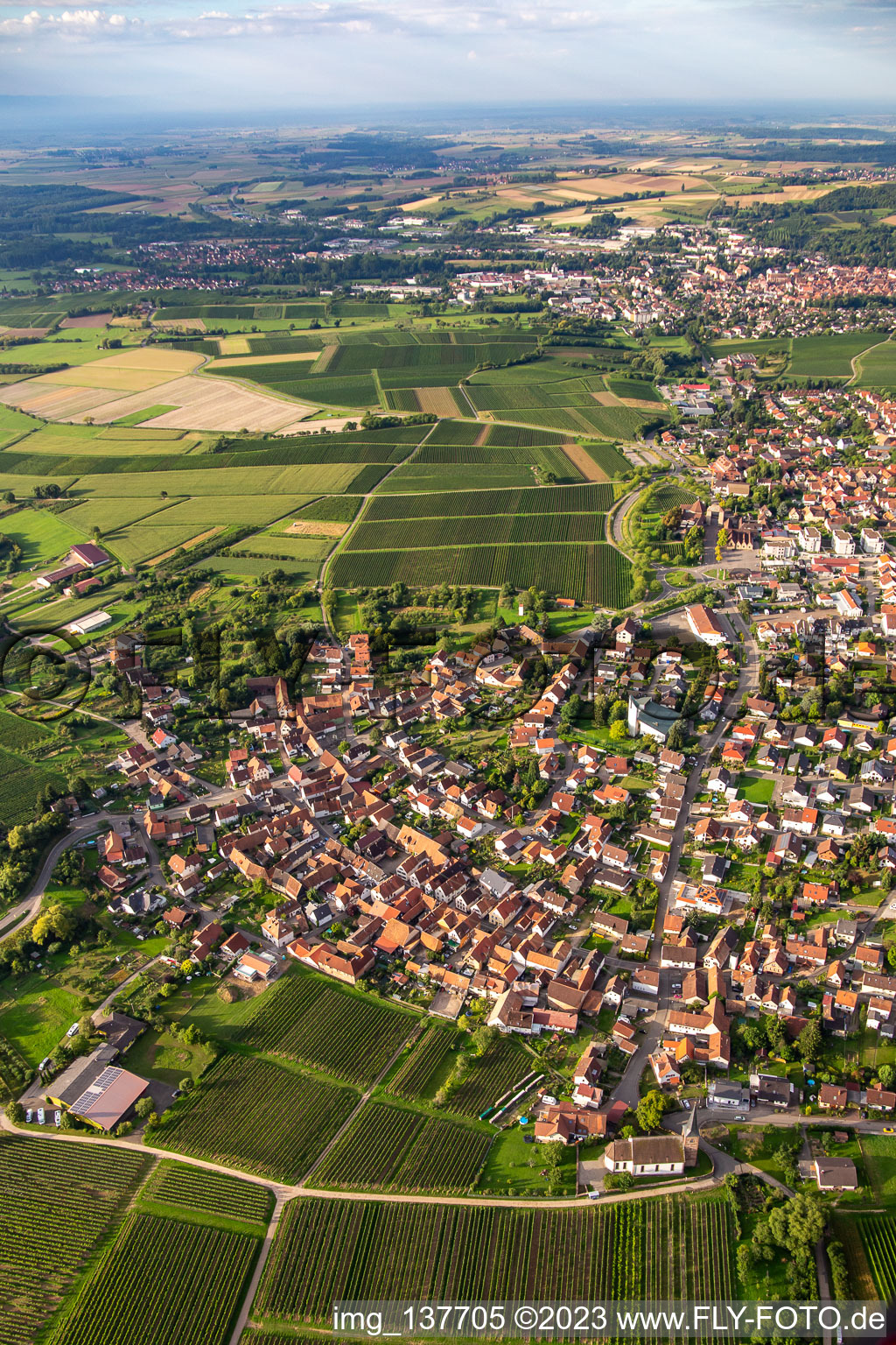 Vue aérienne de Du nord à le quartier Rechtenbach in Schweigen-Rechtenbach dans le département Rhénanie-Palatinat, Allemagne