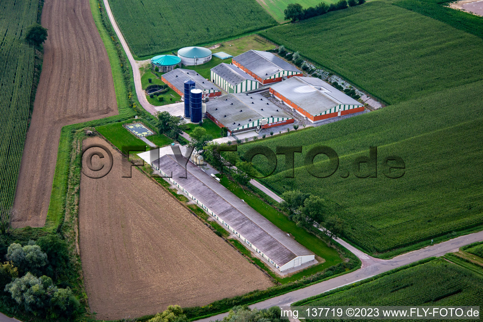 Vue aérienne de Élevage avec installation de biogaz à Trimbach dans le département Bas Rhin, France