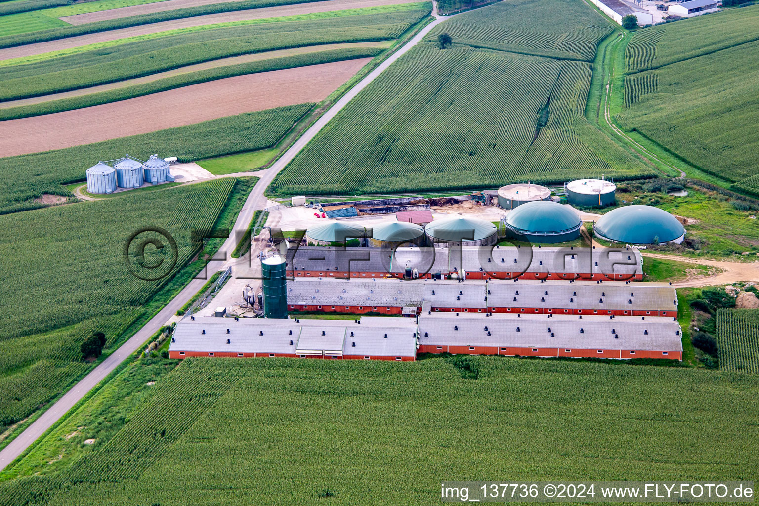 Vue aérienne de Élevage de bétail avec biogaz à Wintzenbach dans le département Bas Rhin, France