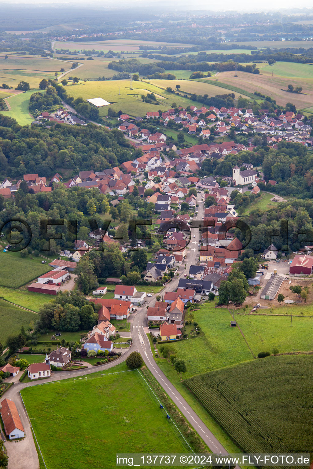 Vue aérienne de Rue de la Hte Vienne depuis l'ouest à Neewiller-près-Lauterbourg dans le département Bas Rhin, France