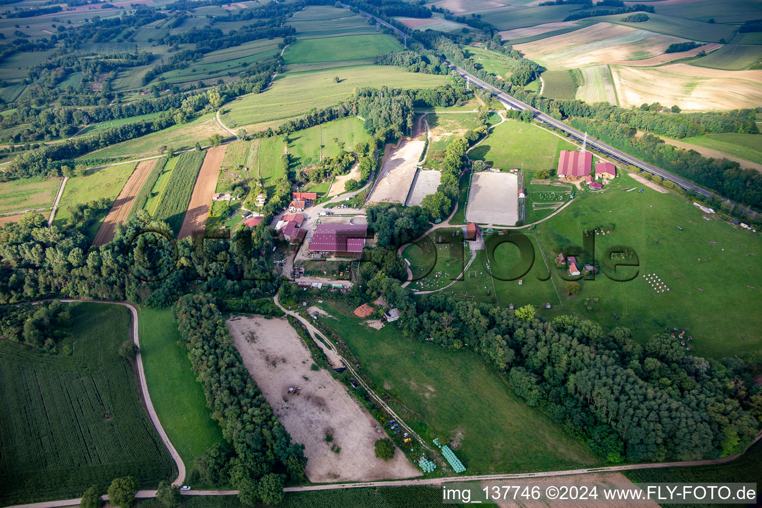 Harras De La Née à Mothern dans le département Bas Rhin, France depuis l'avion