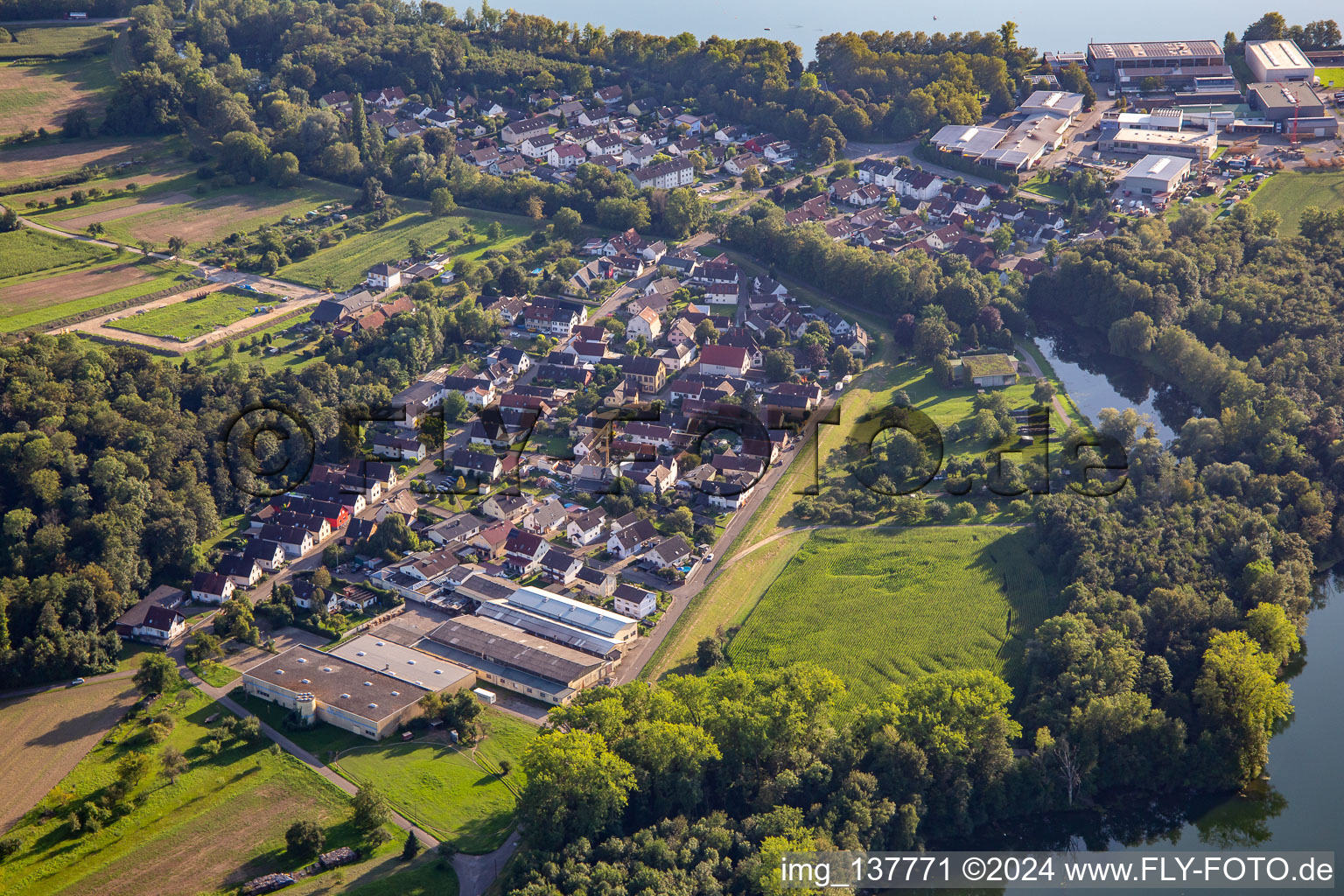 Vue oblique de Quartier Grauelsbaum in Lichtenau dans le département Bade-Wurtemberg, Allemagne