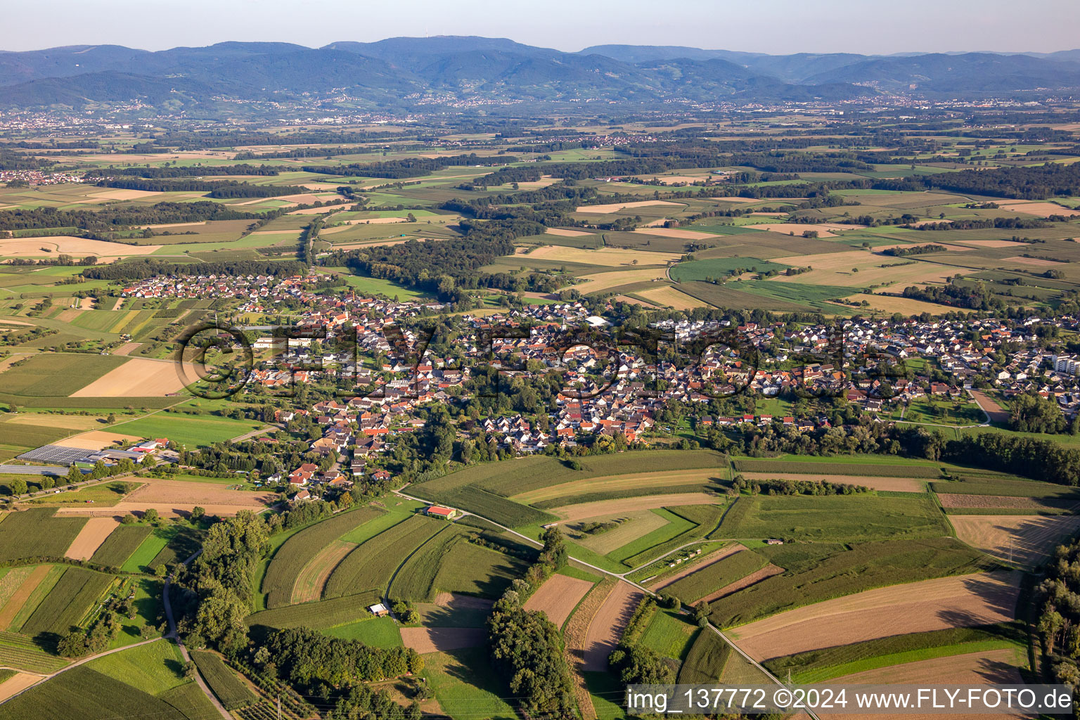 Vue aérienne de Quartier Ulm in Lichtenau dans le département Bade-Wurtemberg, Allemagne