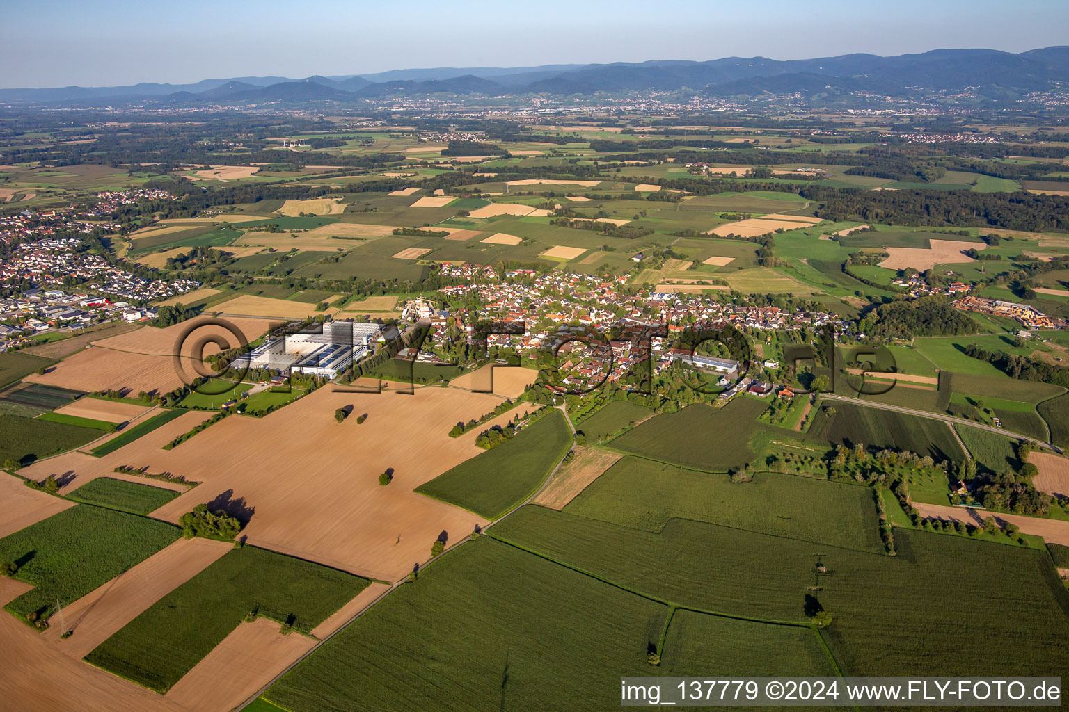 Vue aérienne de De l'ouest à le quartier Scherzheim in Lichtenau dans le département Bade-Wurtemberg, Allemagne